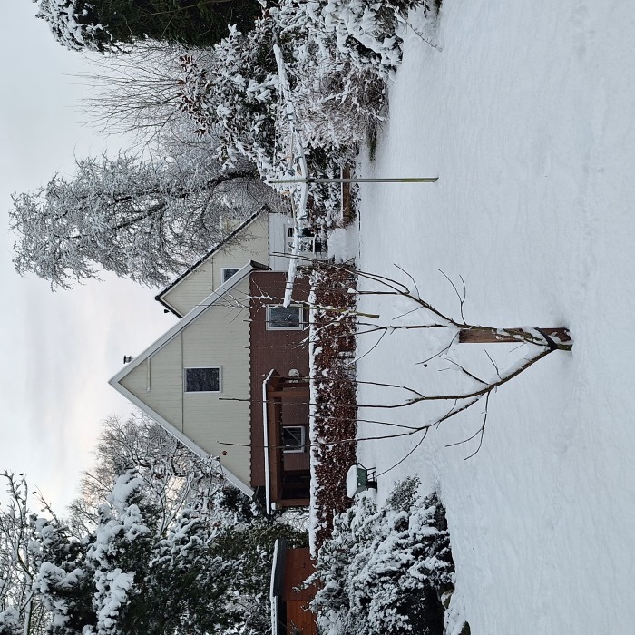 In de sneeuw Image