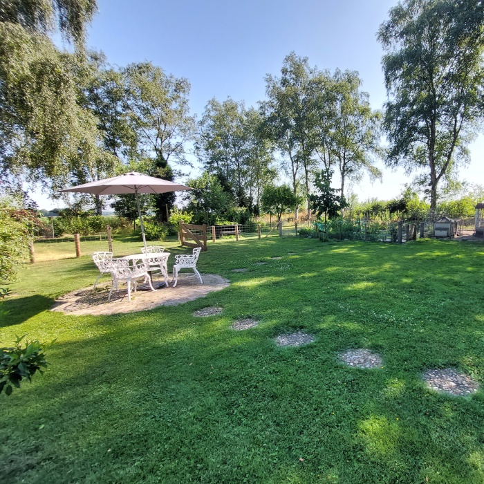 Uitzicht tuin Image