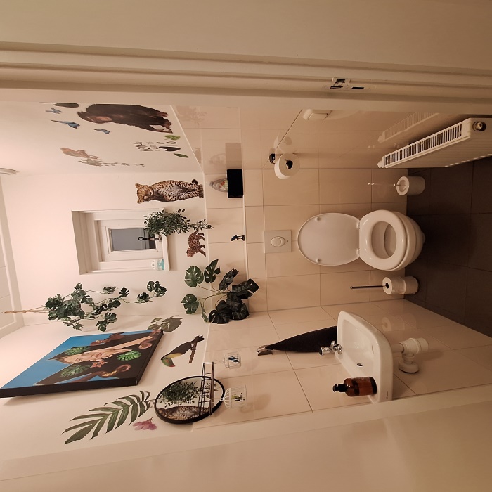 Toilet Image
